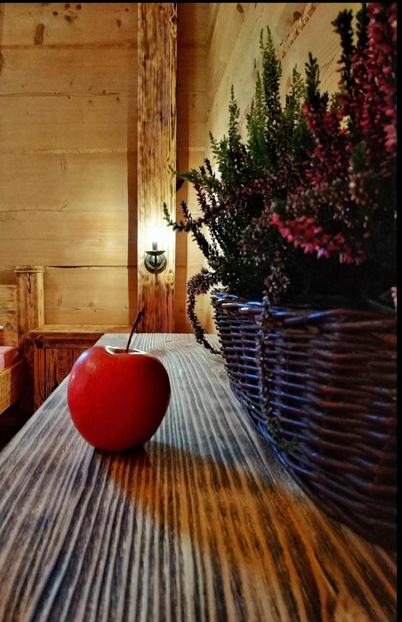 Bukowianska Ostoja - Sauna, Jacuzzi I Balia W Ofercie Bukowina Tatrzańska Εξωτερικό φωτογραφία